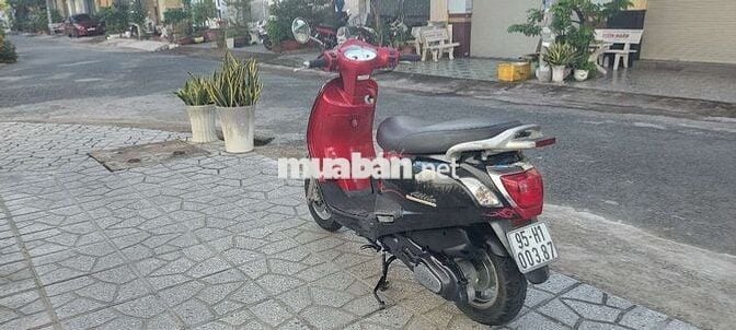 Atila alizabet như mới