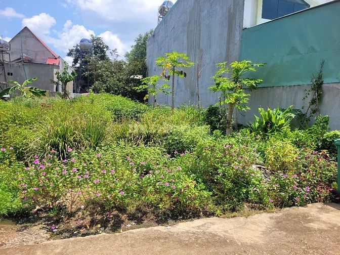 CTY ĐẤU GIÁ HỢP DANH TRỰC TUYẾN VIỆT NAM (VNOA) TỔ CHỨC ĐẤU GIÁ