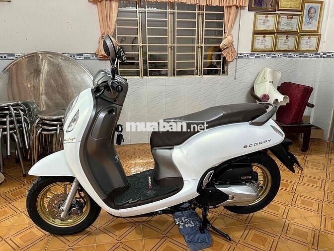 Bán scoopy chính chủ BS 65 xe cực mới