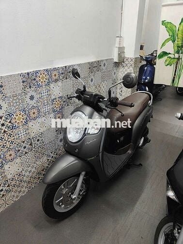 scoopy biển số đẹp