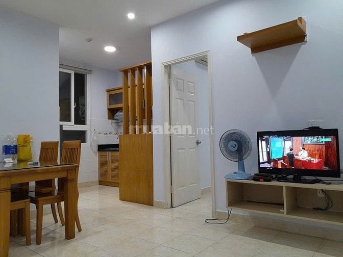Cho thuê CH C/cư T.Đông Plaza,Trịnh Định Thảo, P.H.Thạnh,Q.T.Phú 9.5tr