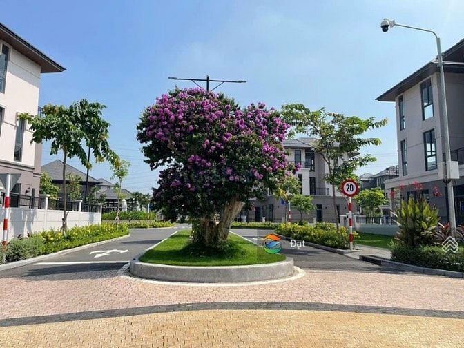 Bán biệt thự đơn lập 300m² view sông, quý 4/2025 nhận nhà giá tốt