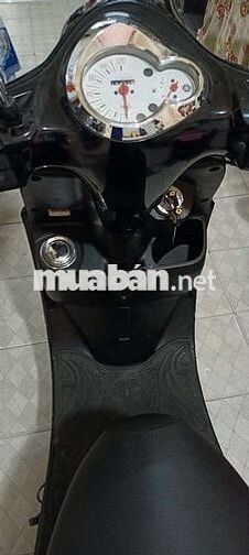 Nozza limited Zin 9 chủ ký ủy quyền 20