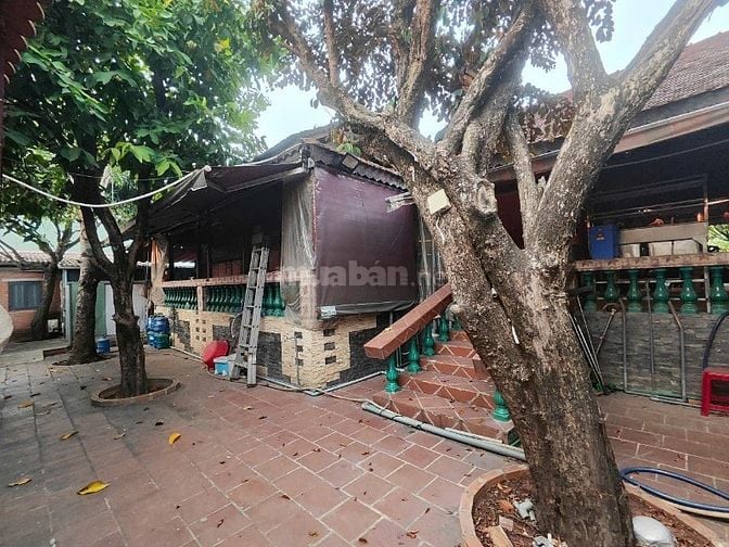 Nhà siêu phẩm mặt tiền quốc lộ N2 