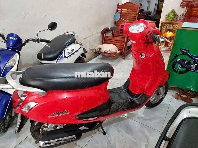 Xe zin.máy zin rất đẹp bán góp