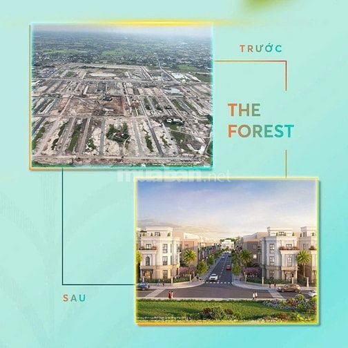 Vinhomes Hậu Nghĩa Long An – Cơ Hội Sở Hữu Nhà Phố Cao Cấp Giá Tốt