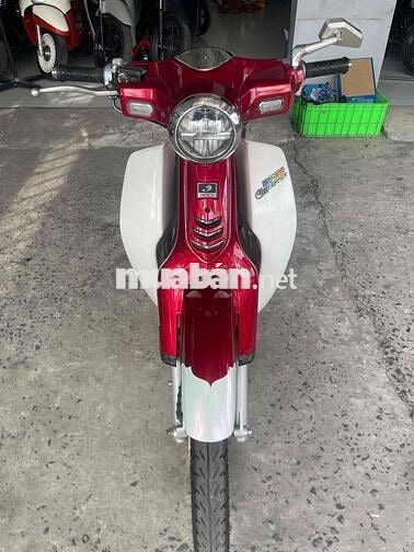 cub 50