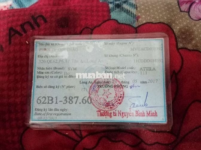 Atila Elizabeth fi đời cao xe chất