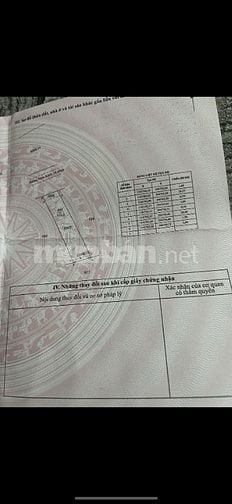 Bấn đất xã Long Bình, Gò Công Tây, Tiền Giang 5m x 30m, thổ 100m2