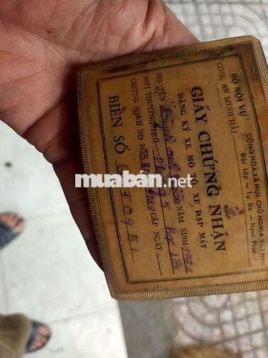 xe cúp cối