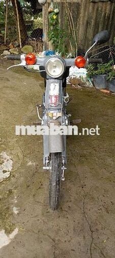Cúp 70 cc