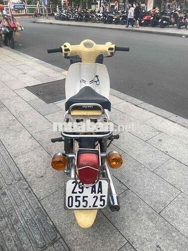 cud50
