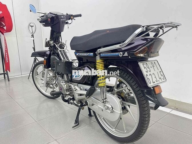 ban dream kiểng thái 2025
