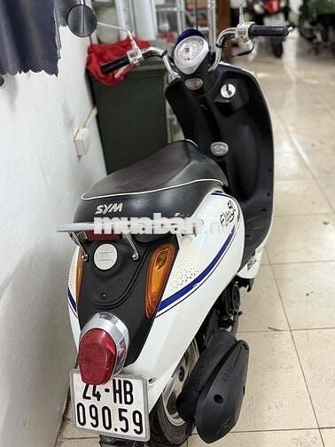 Cửa hàng thanh lý Elit 50cc học sinh dáng nhỏ xinh