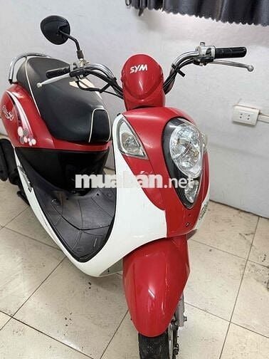 Cửa hàng thanh lý Elit 50cc học sinh dáng nhỏ xinh