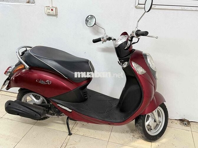 Cửa hàng thanh lý Elit 50cc học sinh dáng nhỏ xinh