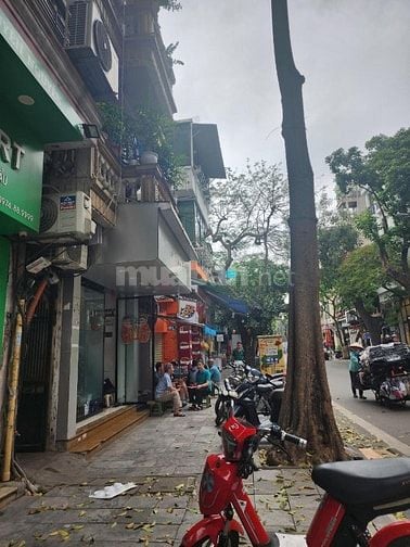 BÁN GẤP NHÀ MẶT PHỐ HÀNG CÓT 90m2 x 5 TẦNG GIÁ 46.8 TỈ CÓ TL.