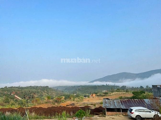 BÁN ĐẤT Ở GIÁ RẺ - SỔ RIÊNG XÂY DƯNG- XÃ ĐÔNG THANH, LÂM HÀ 