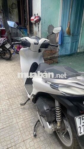9 chú cần bán