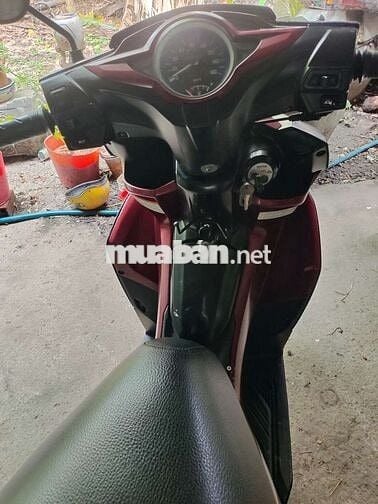 Suzuki impluse2016 bstp