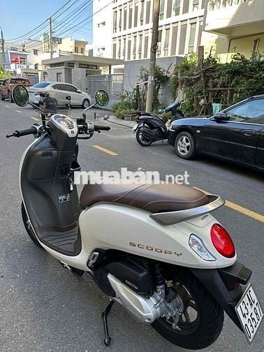 Scoopi cuối 2024,hàng bỏ mẫu siêu lướt