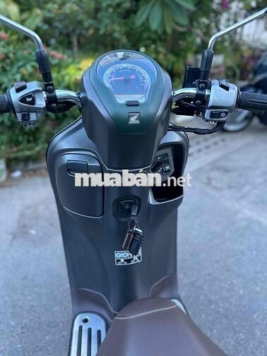 Scoopi hàng bỏ mẫu còn rất đẹp