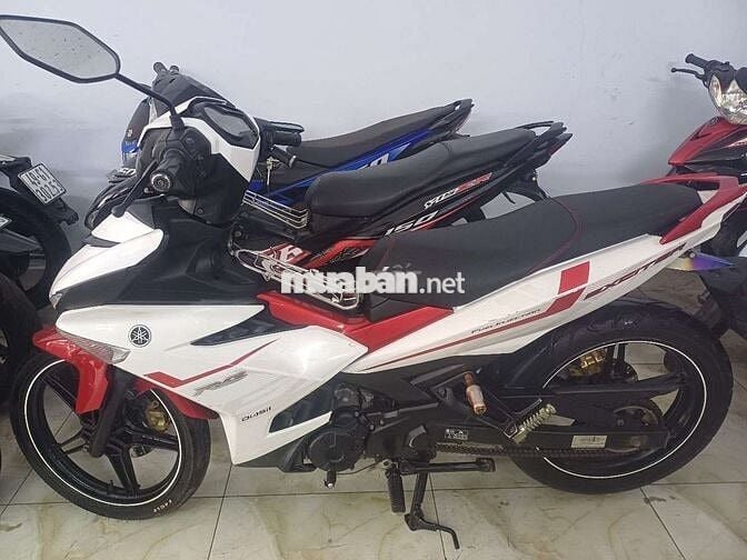 Xe cọp biển đẹp