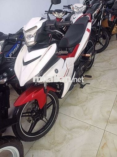 Xe cọp biển đẹp