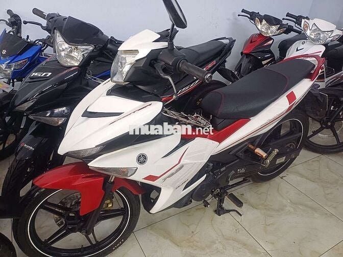 Xe cọp biển đẹp