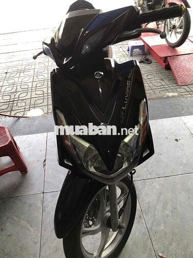 zamaha luvias xe đẹp máy zin chất
