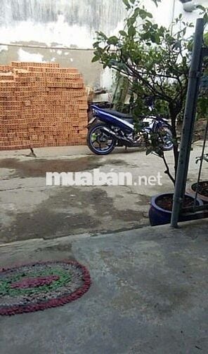 Cần bán