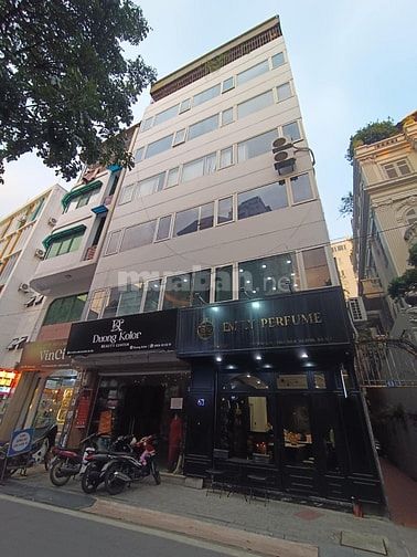 Cho Thuê Văn Phòng 80m2 tại Phố Châu Long, Quận Ba Đình, Mặt Tiền 9m