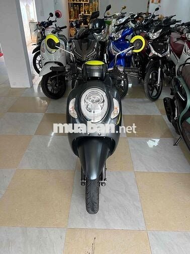 Scoopy Thai 2022