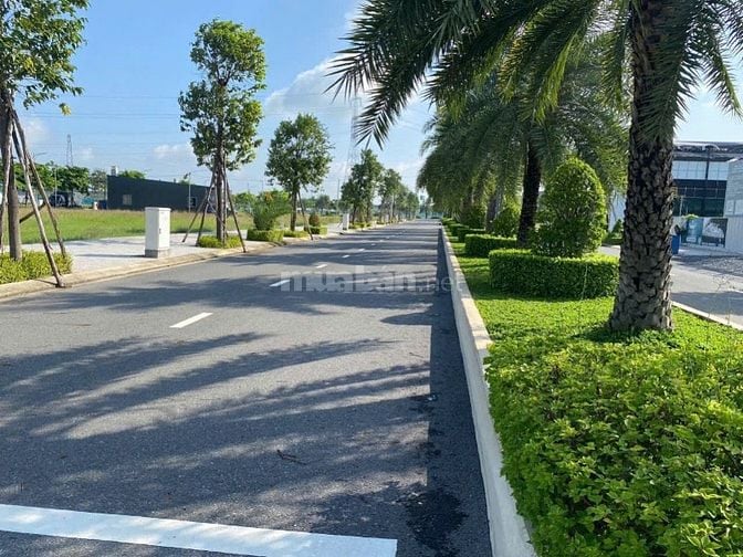Lô Biệt Thự King Hill – Ai nhanh tay, người đó thắng! 