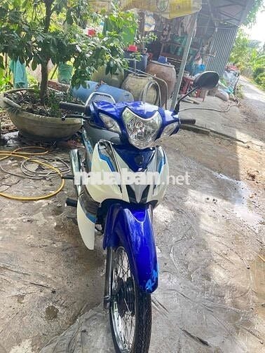 elegant 50 cc đẹp xin mời ken