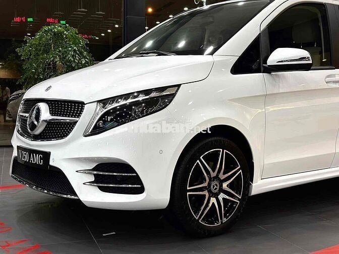 Mercedes Benz V Class 2023 V250 AMG