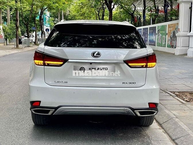 Lexus RX 2021 RX300 - 35000 km