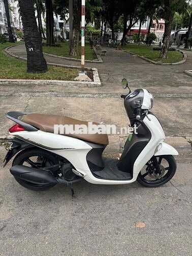 Janus 125 2023 bstp chính chủ cần bán