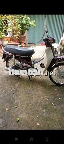 Bán xe drim đời tem hồng