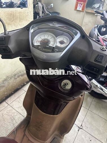 Shark 2010 Máy siêu ngon. BSTP cavet đầy đủ