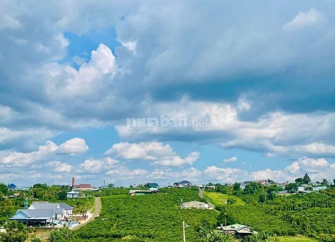 bán đất xã lộc quảng nay xác nhập thành bảo lâm 1