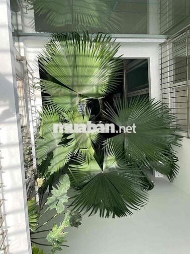Cho thuê Nhà đẹp 3.5 Tầng Mặt Tiền Xuân Thuỷ , Hải Châu