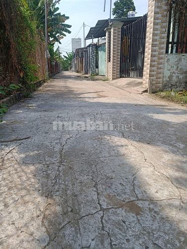 Bán đất TT Thủ Dầu Một đường ô tô 7m, sổ hồng riêng, xây dựng tự do 