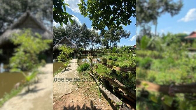 BÁN ĐẤT LỚN – VỊ TRÍ ĐẸP TRUNG TÂM TP. THỦ DẦU MỘT – ĐƯỜNG HỒ VĂN CỐNG