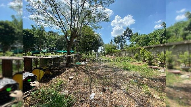 BÁN ĐẤT LỚN – VỊ TRÍ ĐẸP TRUNG TÂM TP. THỦ DẦU MỘT – ĐƯỜNG HỒ VĂN CỐNG