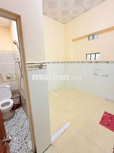Nhà nguyên căn hẻm 1/ Bờ Bao Tân Thắng 4x17 2PN