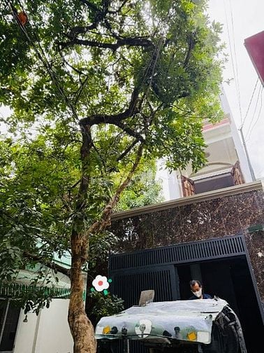 Bán nhà rẻ đẹp đúc 3 lầu sau mặt tiền (4,3x18) 306/4 Thống Nhất Gò Vấp
