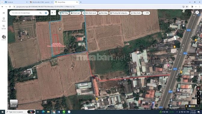 Cần bán đất nông nghiệp - Nhị Thành - Thủ Thừa - Long An