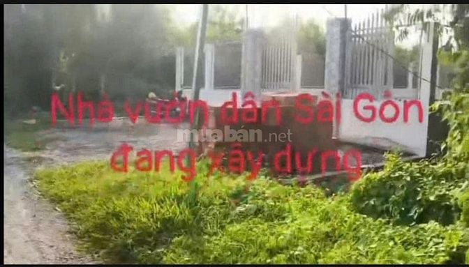 Cần Bán gấp Đất vườn, ấp 5 xã Thạnh Lợi, Tây Ninh..(Long An cũ)