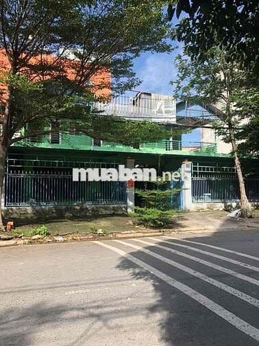 Biệt Thự góc 2MT đường lớn dt 24x16m nhà 2 tấm giá thuê 40tr/th